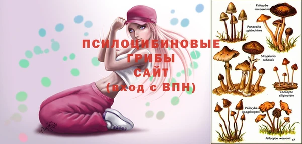 метамфетамин Армянск