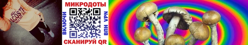 как найти закладки  Нарткала  Псилоцибиновые грибы мицелий 