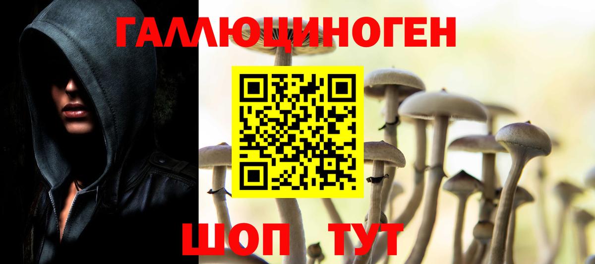 Псилоцибиновые грибы прущие грибы  Псилоцибиновые грибы мицелий  Вход с VPN  Нарткала 